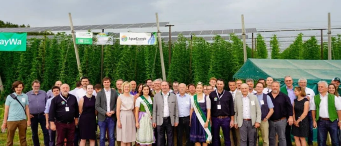 Fotovoltaico agricolo utilizzato in Germania per i fiori di birra